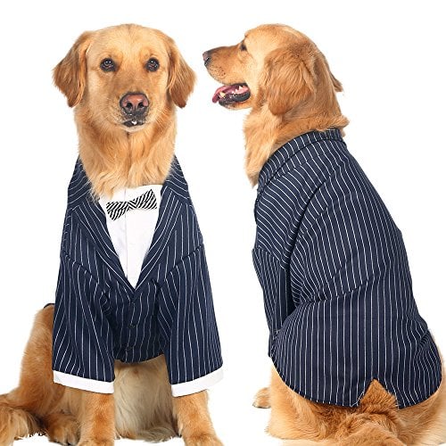 Ropa y Atuendos para Perros