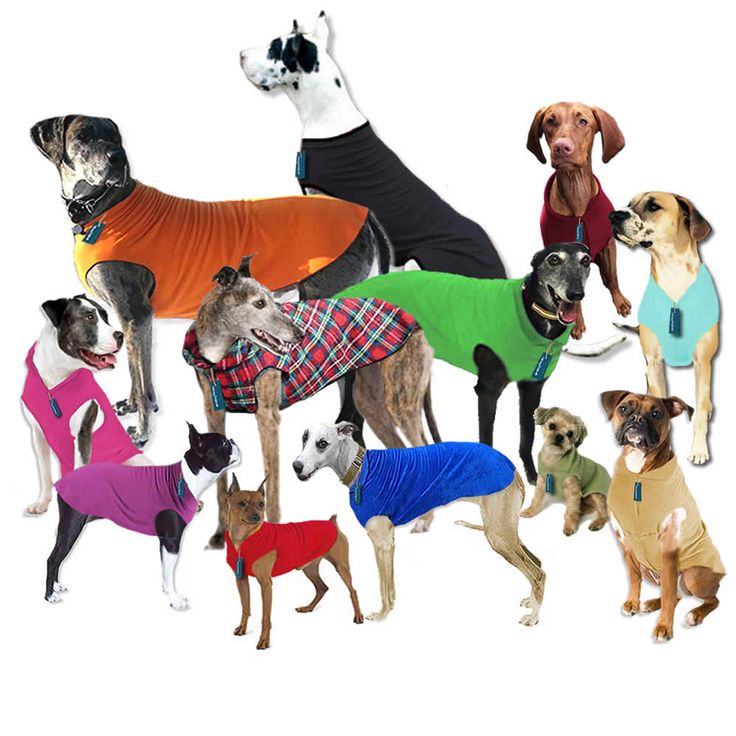 Ropa y Atuendos para Perros - Image 4