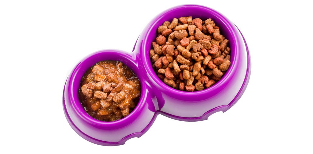 Comida para Perros (Seca y Húmeda) - Image 3